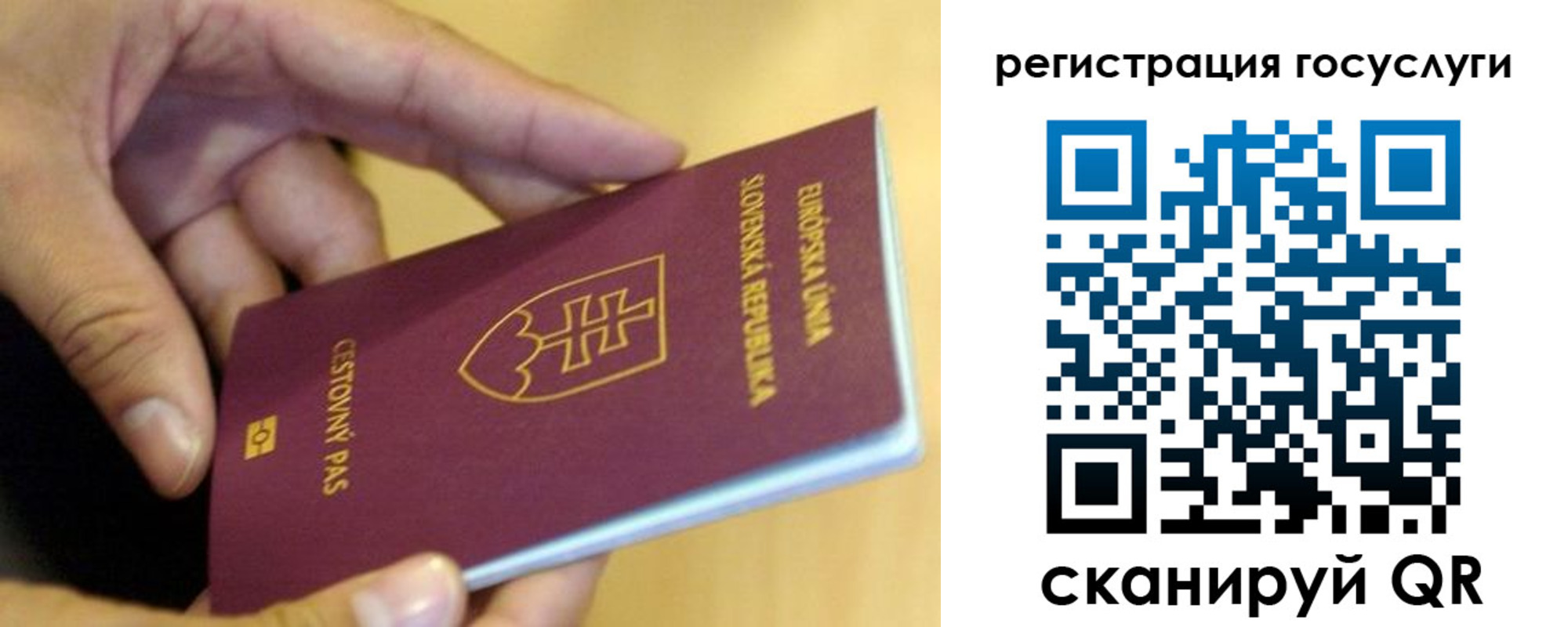 прописка в квартире в Читинской области